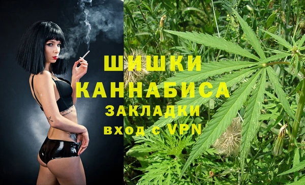 гидропоника Алзамай
