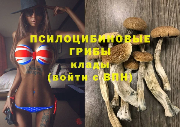 spice Абинск