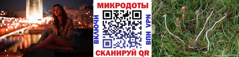даркнет сайт  Новокузнецк  Галлюциногенные грибы Cubensis 