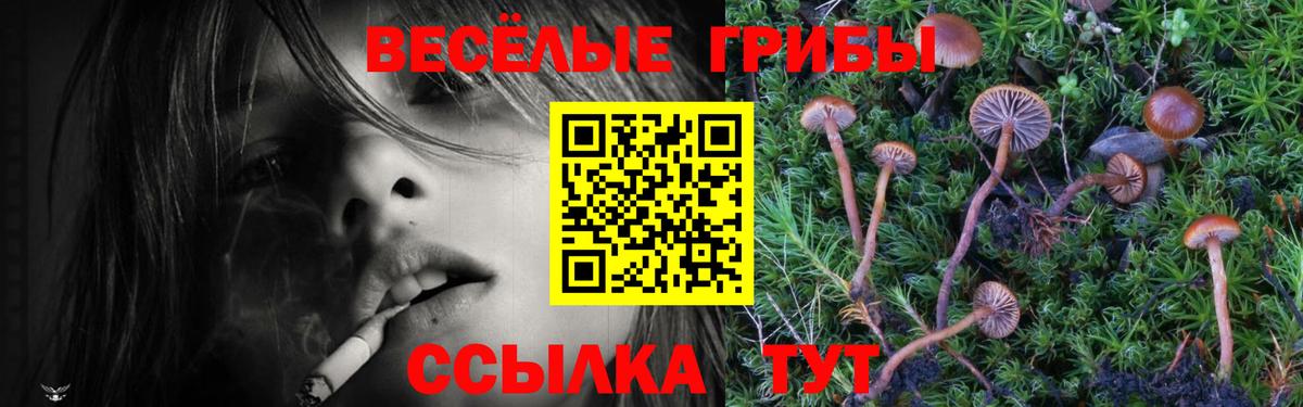 Галлюциногенные грибы MAGIC MUSHROOMS  Вход с VPN  Новокузнецк 