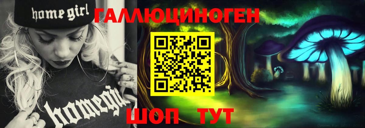 Псилоцибиновые грибы Cubensis Новокузнецк