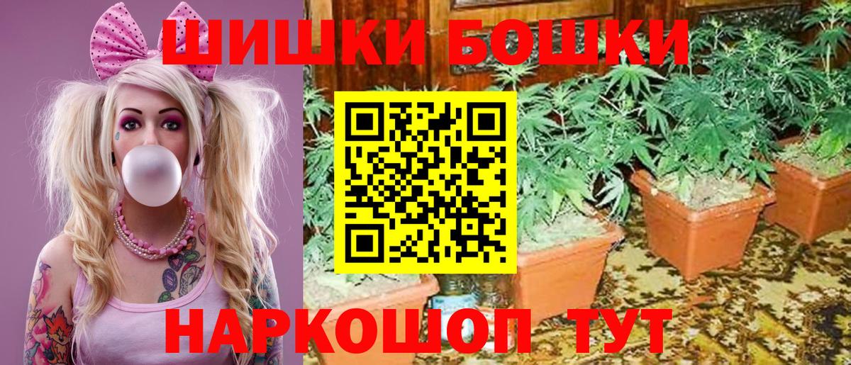 Конопля сатива Новокузнецк